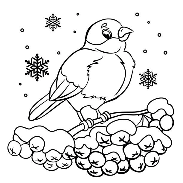 A bird guarding the rowan coloring book